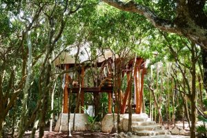 papaya playa project tree house 2017