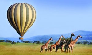 serengeti balloon tanzania honeymoon destinations